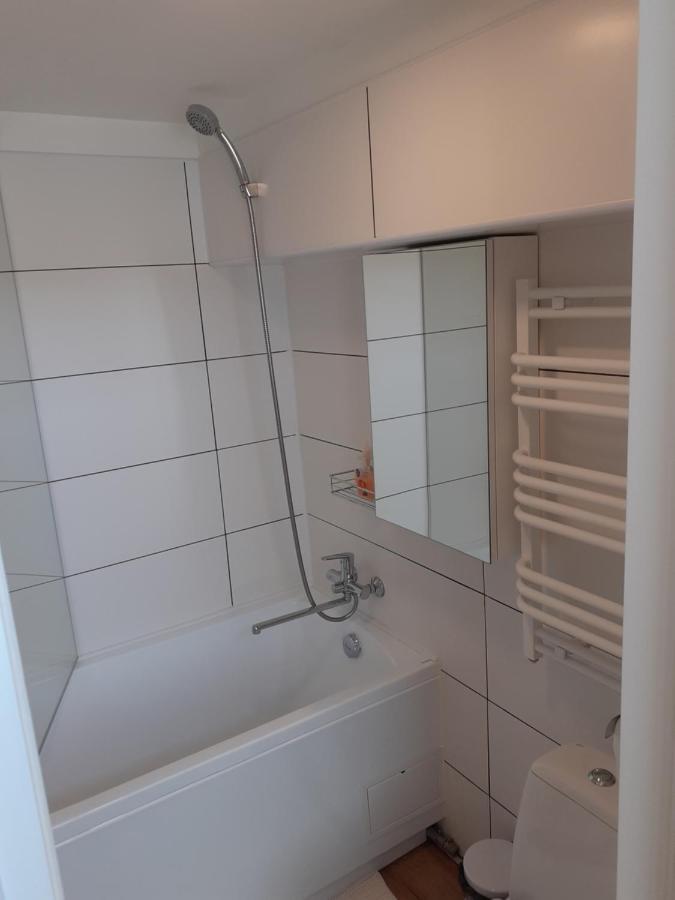 Lovely 1-Bedroom Apartment In Kaunas Old Town Экстерьер фото